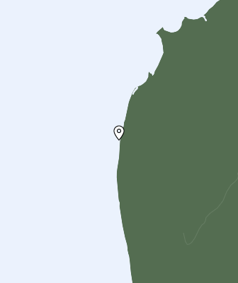 Niederschlagsprognose