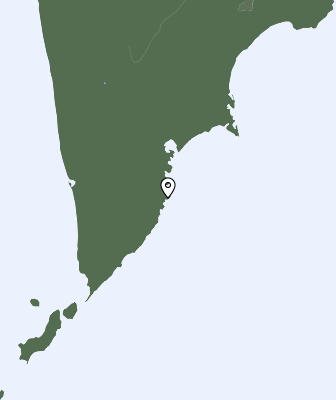 Niederschlagsprognose
