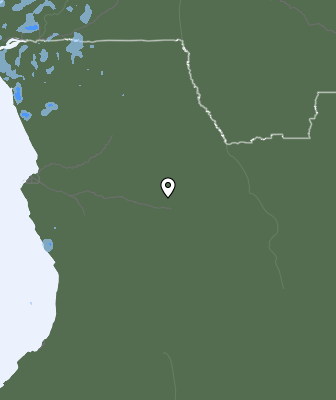 Niederschlagsprognose