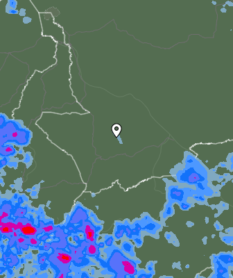 Niederschlagsprognose