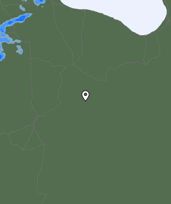 Валежи