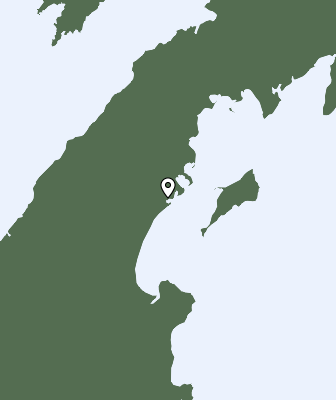 Niederschlagsprognose