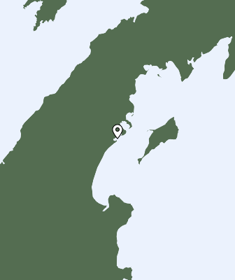 Niederschlagsprognose
