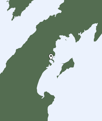 Niederschlagsprognose