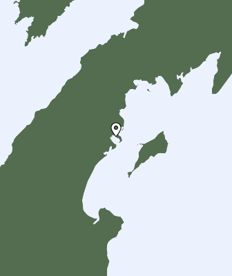 Niederschlagsprognose