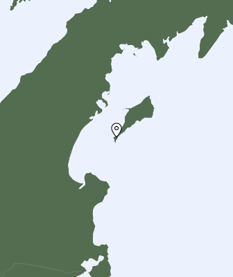 Niederschlagsprognose
