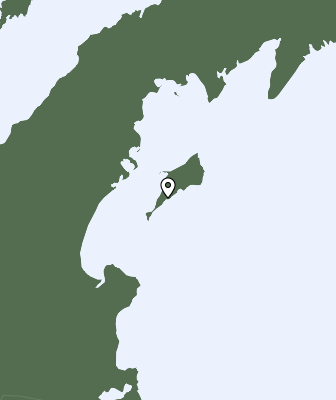 Niederschlagsprognose