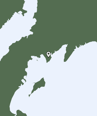 Niederschlagsprognose