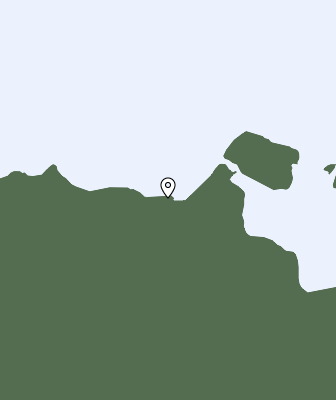 Niederschlagsprognose