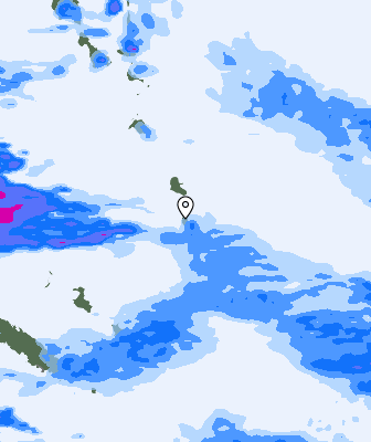 Niederschlagsprognose