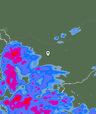 Niederschlagsprognose