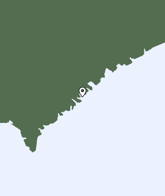 Niederschlagsprognose