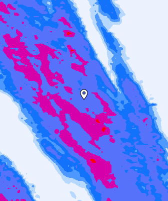 Niederschlagsprognose