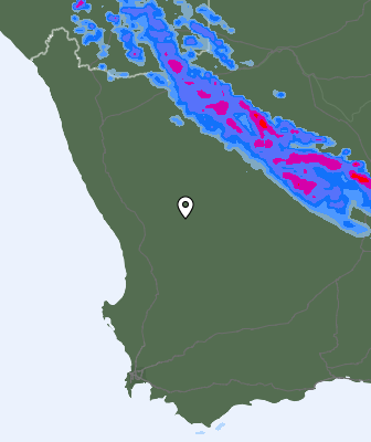 Precipitazioni