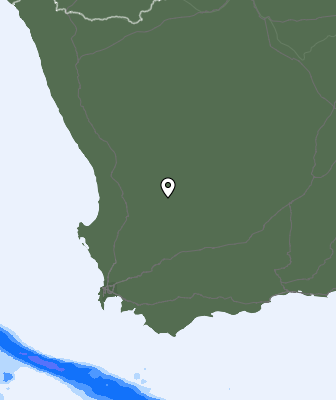 Neerslag