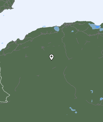 Валежи