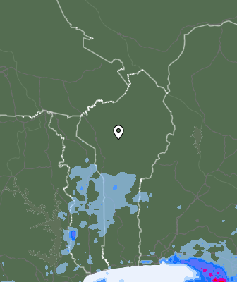 Niederschlagsprognose