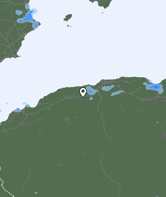 Niederschlagsprognose