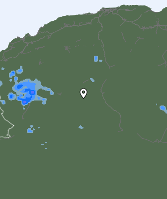 Niederschlagsprognose
