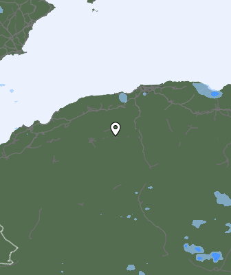 Валежи