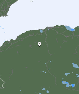 Валежи