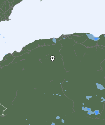 Валежи