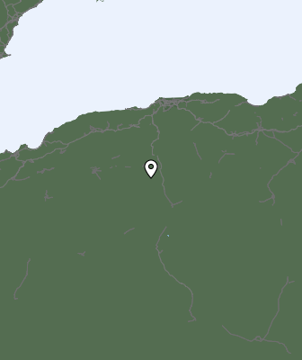 Niederschlagsprognose