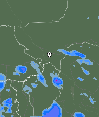 Валежи