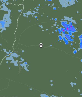 Niederschlagsprognose