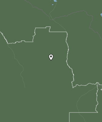 Niederschlagsprognose