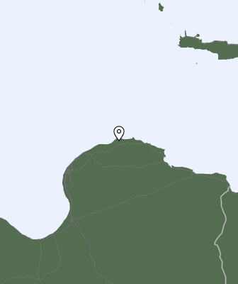 Niederschlagsprognose