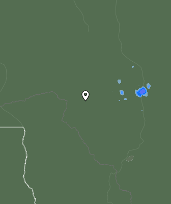 Niederschlagsprognose