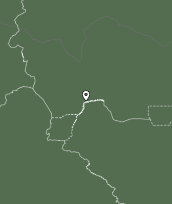 Niederschlagsprognose
