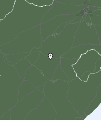 Niederschlagsprognose