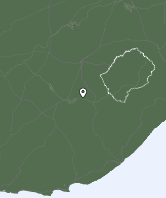 Niederschlagsprognose