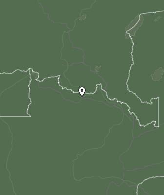 Niederschlagsprognose