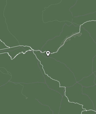 Niederschlagsprognose