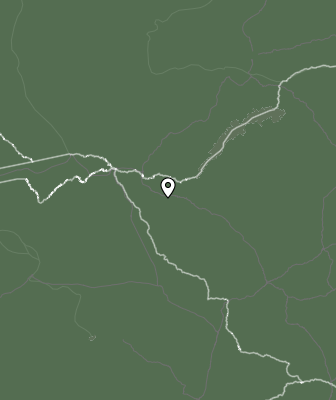 Niederschlagsprognose