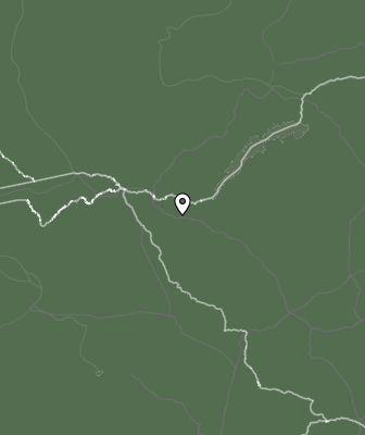 Niederschlagsprognose
