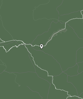 Niederschlagsprognose