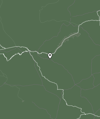 Niederschlagsprognose