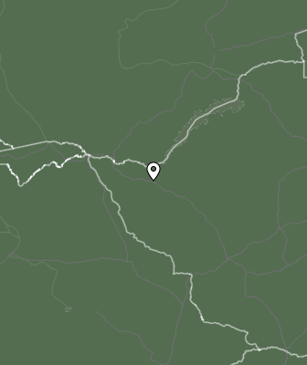 Niederschlagsprognose
