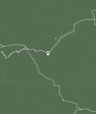 Niederschlagsprognose