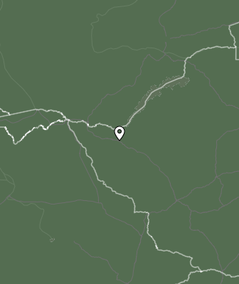 Niederschlagsprognose