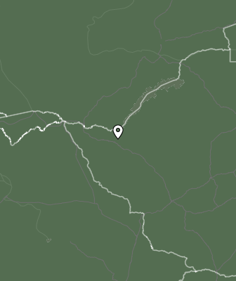 Niederschlagsprognose