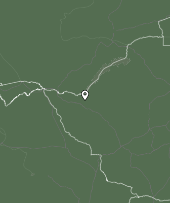 Niederschlagsprognose