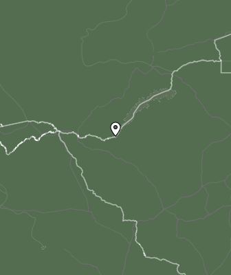 Niederschlagsprognose