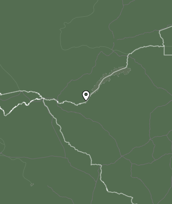 Niederschlagsprognose