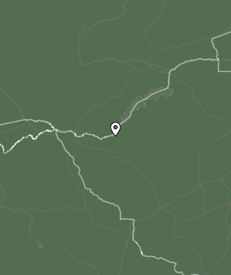 Niederschlagsprognose