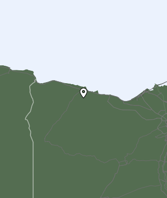 Neerslag
